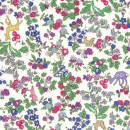 <Nancy Animal>3286253SP-J15C