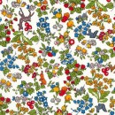 <Nancy Animal>3286253SP-J15A