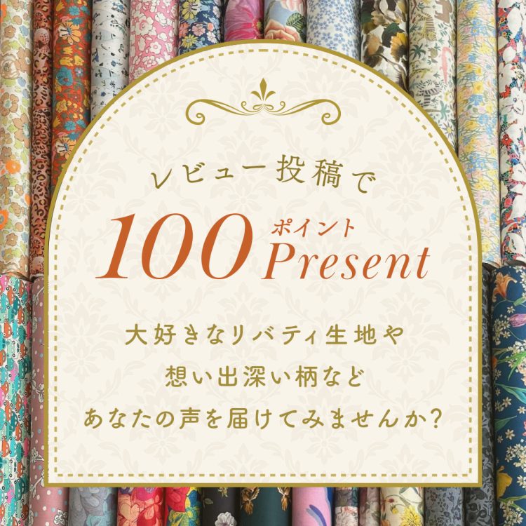 レビュー投稿で100ptプレゼント！